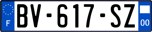 BV-617-SZ