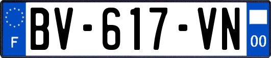 BV-617-VN