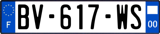 BV-617-WS