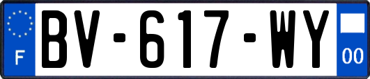 BV-617-WY