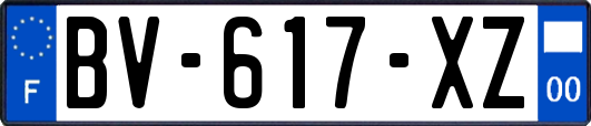 BV-617-XZ