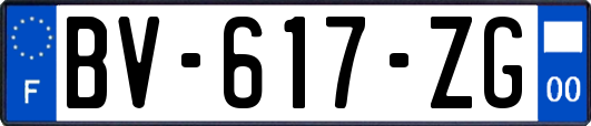 BV-617-ZG