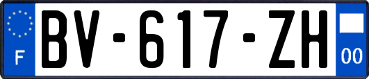 BV-617-ZH