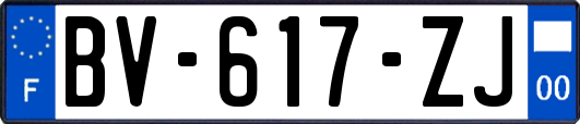 BV-617-ZJ