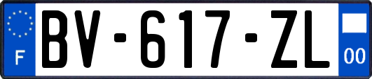 BV-617-ZL