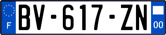 BV-617-ZN