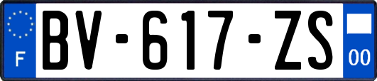 BV-617-ZS