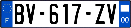 BV-617-ZV