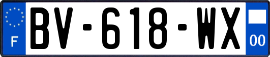 BV-618-WX