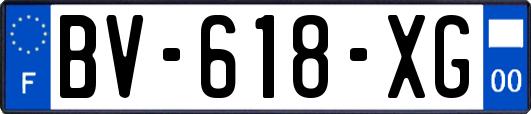 BV-618-XG