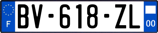 BV-618-ZL