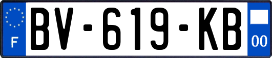BV-619-KB