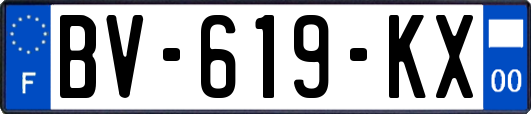 BV-619-KX