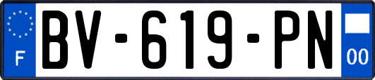 BV-619-PN