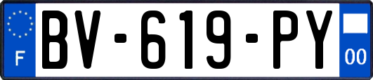 BV-619-PY