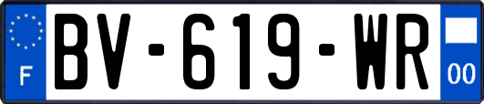 BV-619-WR