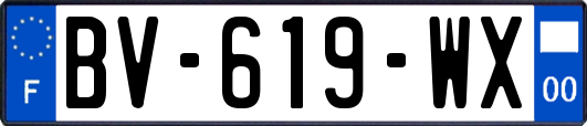 BV-619-WX