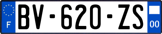 BV-620-ZS