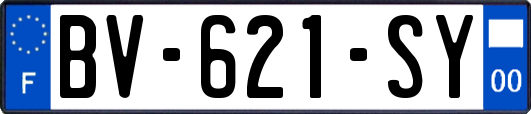 BV-621-SY