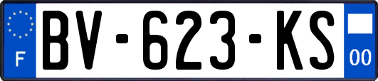 BV-623-KS