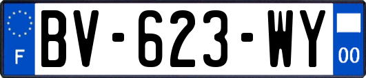 BV-623-WY