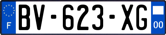 BV-623-XG