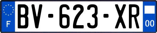 BV-623-XR