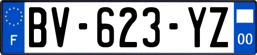 BV-623-YZ