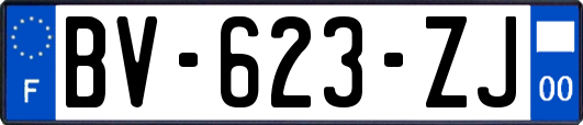 BV-623-ZJ