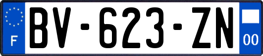 BV-623-ZN