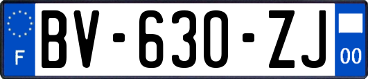 BV-630-ZJ