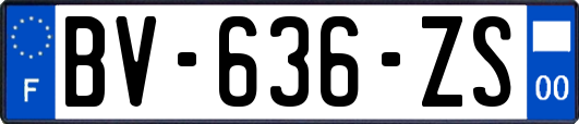 BV-636-ZS