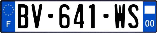 BV-641-WS