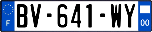 BV-641-WY