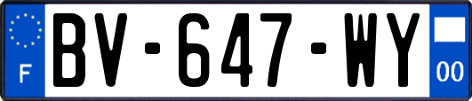 BV-647-WY