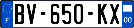 BV-650-KX
