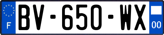 BV-650-WX