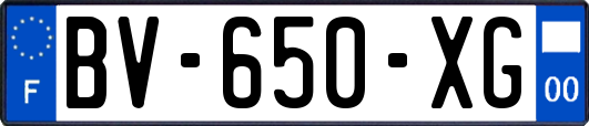 BV-650-XG