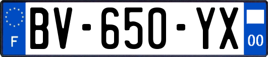 BV-650-YX