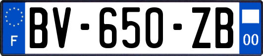 BV-650-ZB