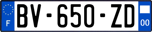 BV-650-ZD