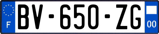 BV-650-ZG