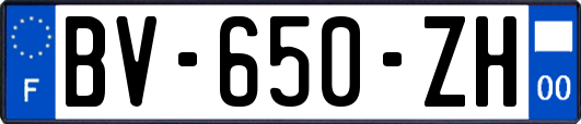 BV-650-ZH