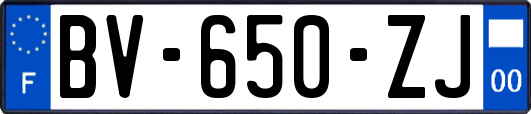 BV-650-ZJ