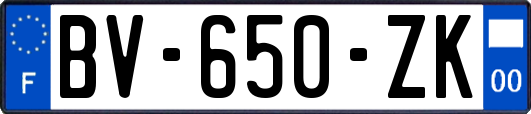 BV-650-ZK