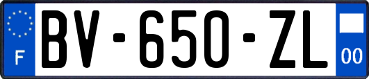 BV-650-ZL