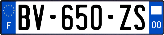 BV-650-ZS