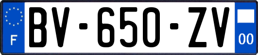 BV-650-ZV