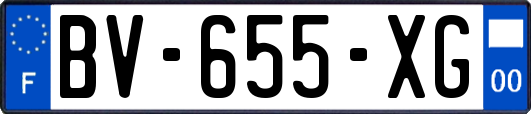 BV-655-XG