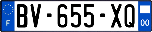 BV-655-XQ